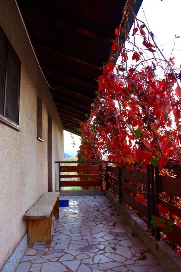 Rooms "Nada Zunic" Knin Εξωτερικό φωτογραφία